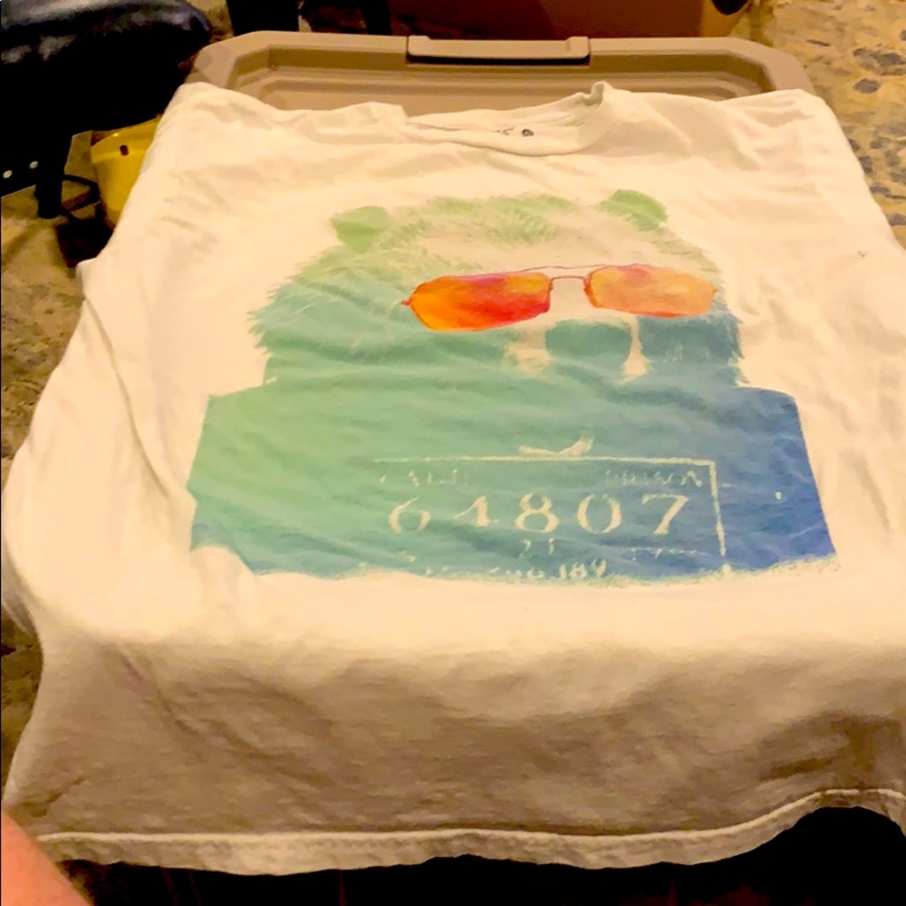 Bear in Aviators T-Shirt